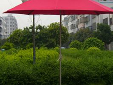 中柱雙層傘