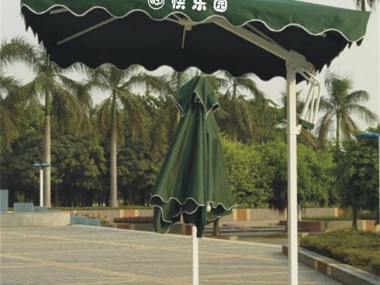 傘類(lèi)