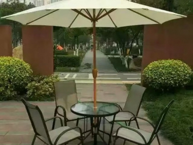 傘類